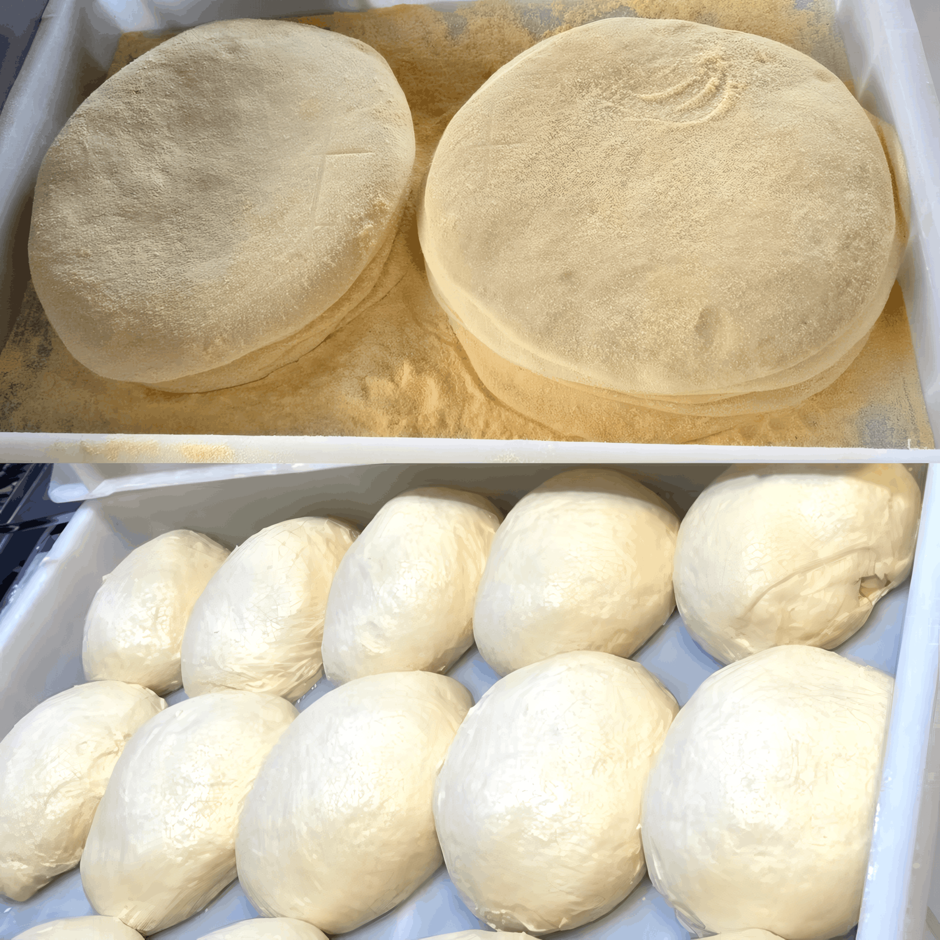 Padronização da massa de longa fermentação